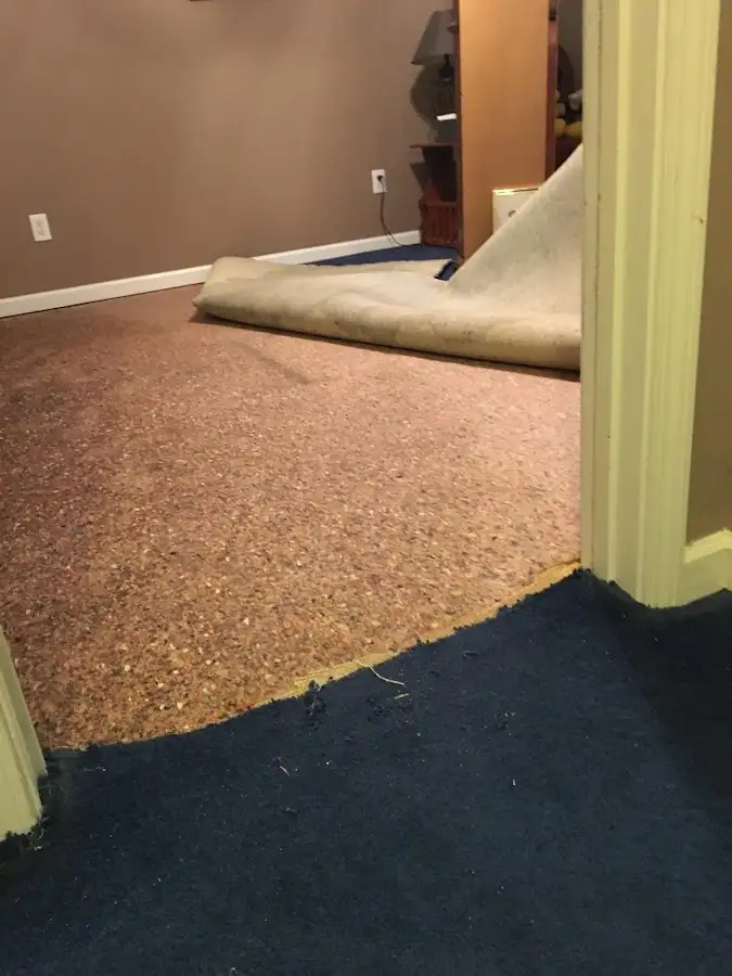 Carpet pad removal revealing water damage during Drying & Dehumidification in Chackbay