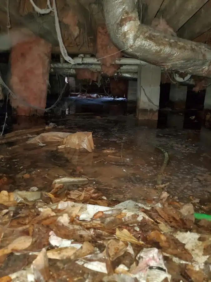 Crawl space flood assessment for Commercial Water Damage Restoration in Chackbay